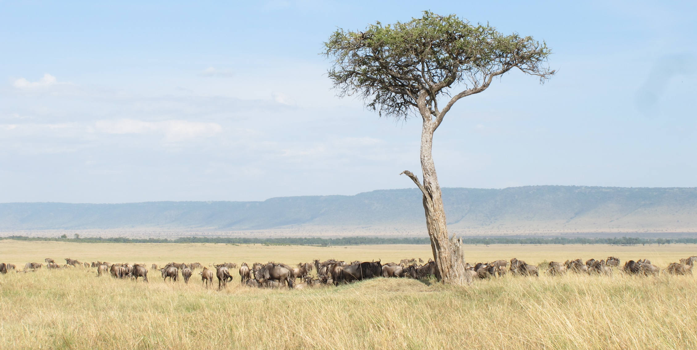 Exclusive Tanzania Safari