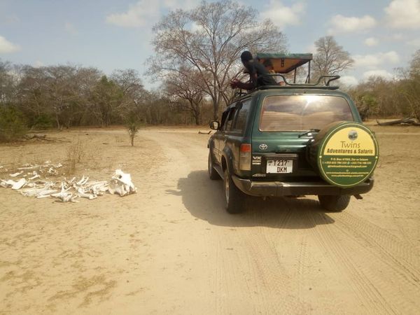 74610092 103329541092572 9212598459285110784 O