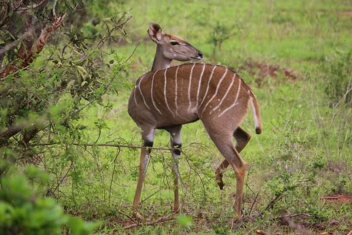 Img 20220111 Wa0028