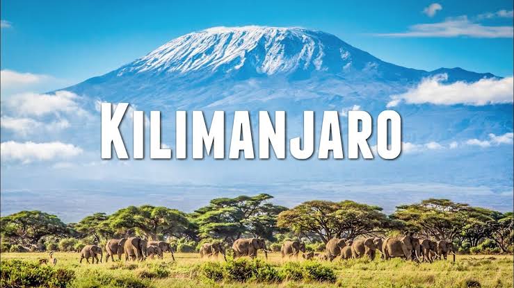 Kilimanjato With Print
