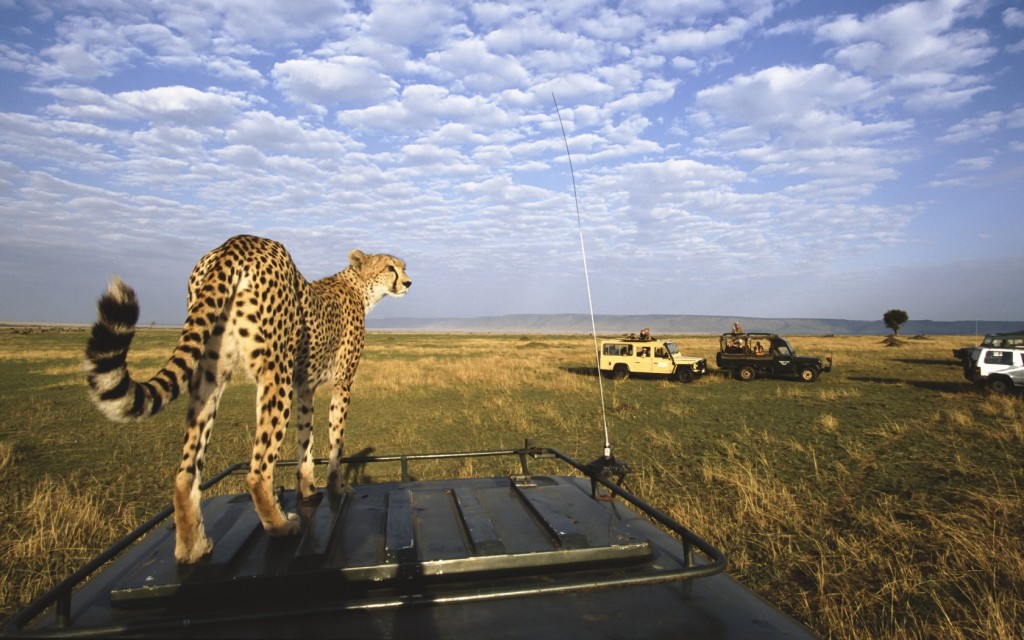 Best Of 7 Days Safari In Serengeti And Ngorongoro Crater