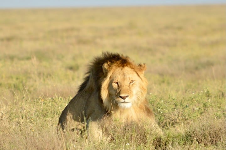 Img 20220209 Wa0024