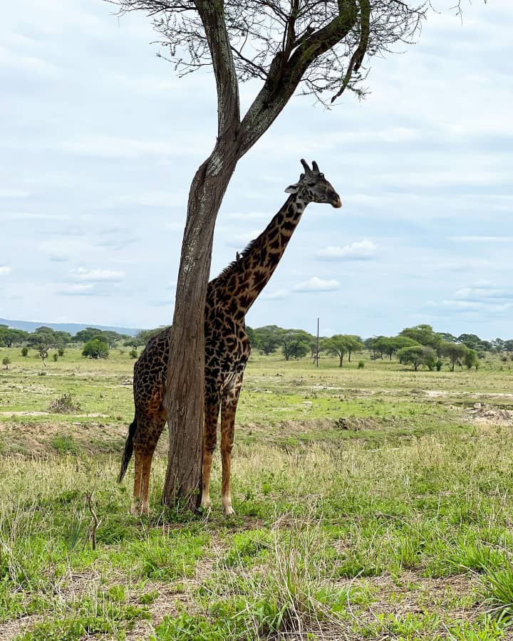 Img 20220209 Wa0050