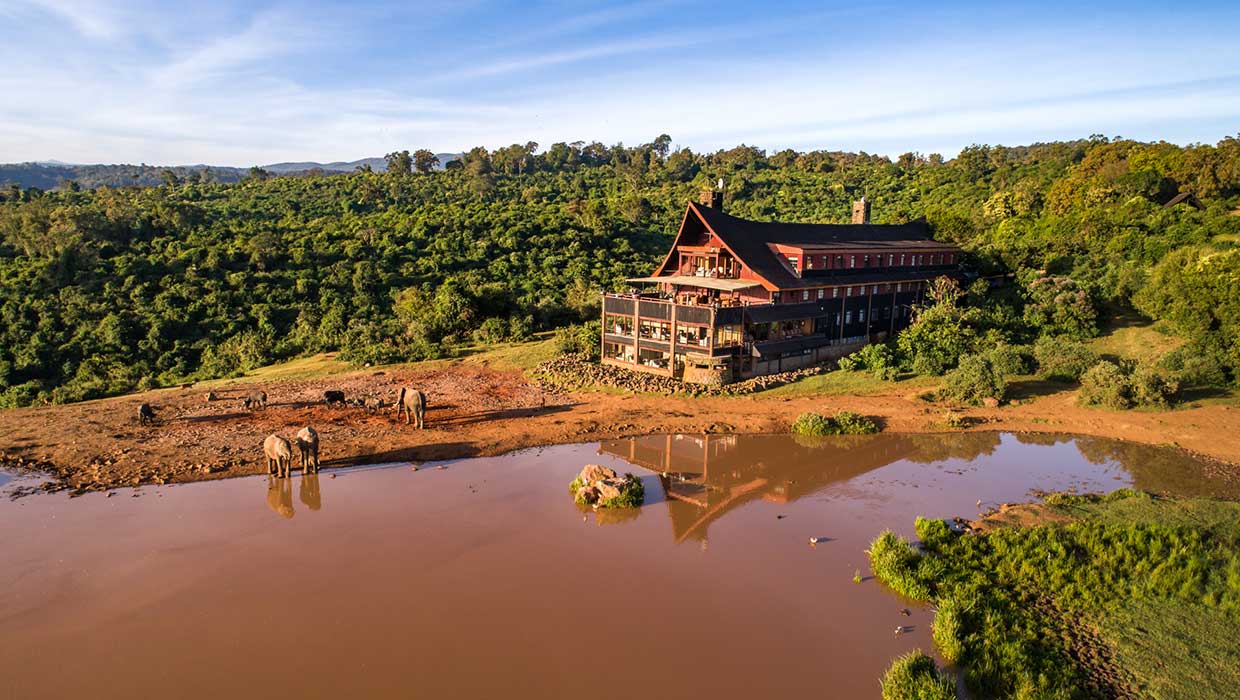 03 The Ark Kenya