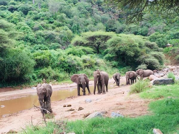 African Trek Travel (18)