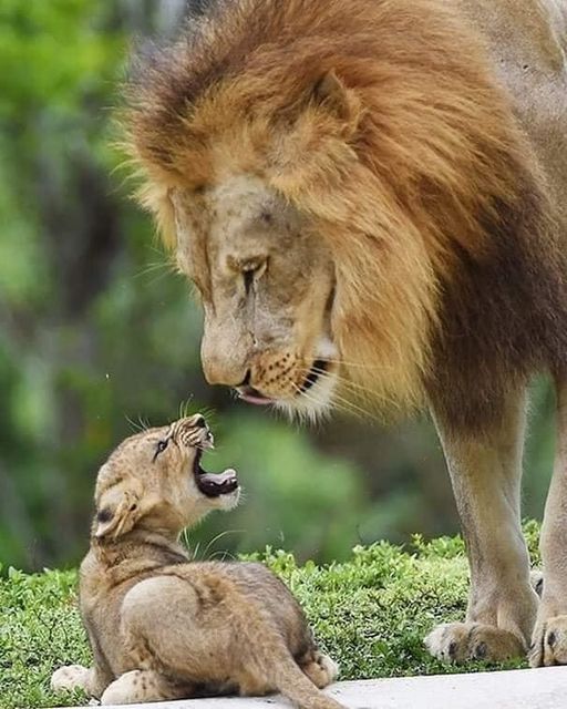 African Trek Travel (22)