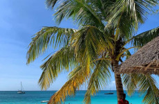 4-Day Zanzibar Vacation Safari