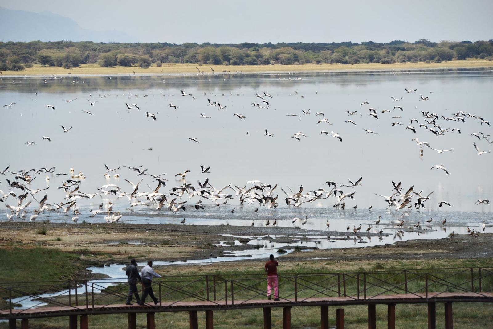 Lake Manyara Hot Spring