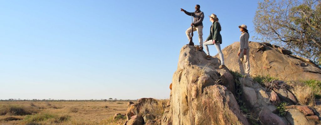 Off The Beaten Walking Safari Oyqkee2dqw9exvgup21jop7vqfo4tmjnz839zy9r4w