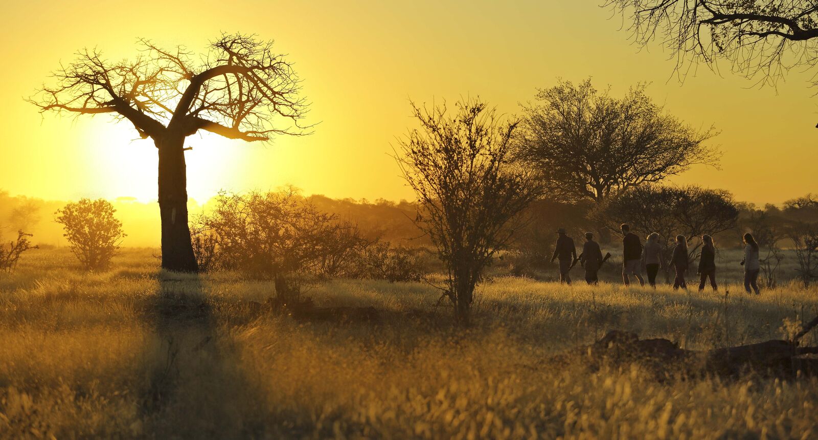Ruah Walking Safari
