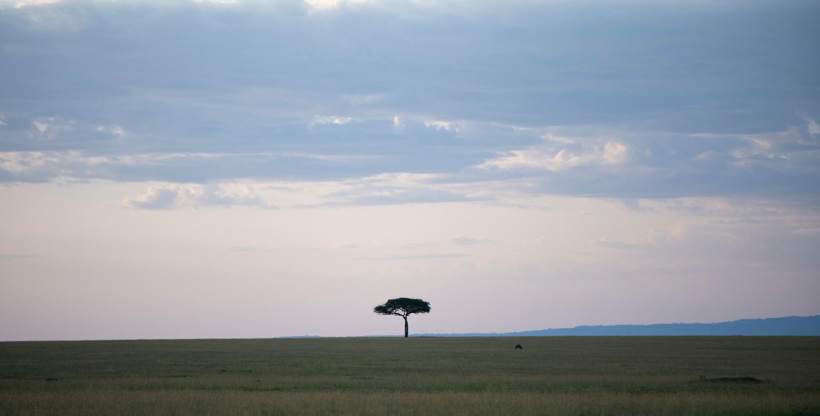 Serengeti Plains