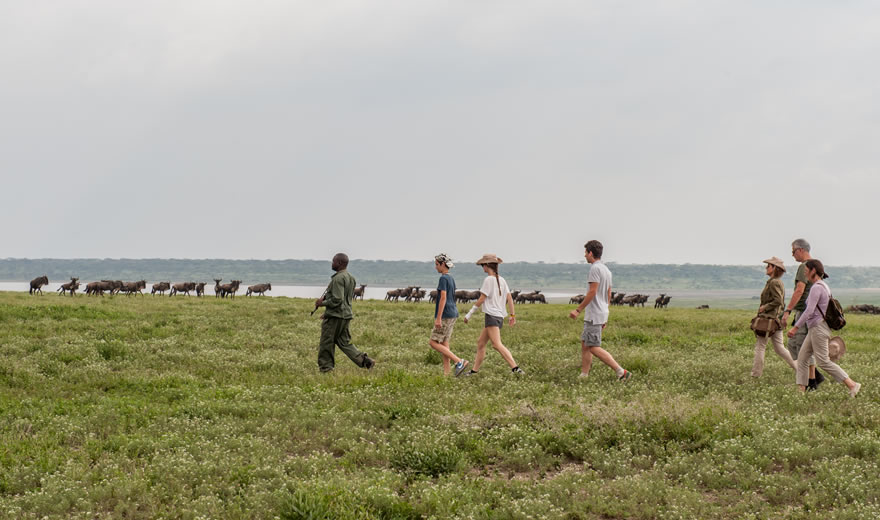 Serengeti Walking