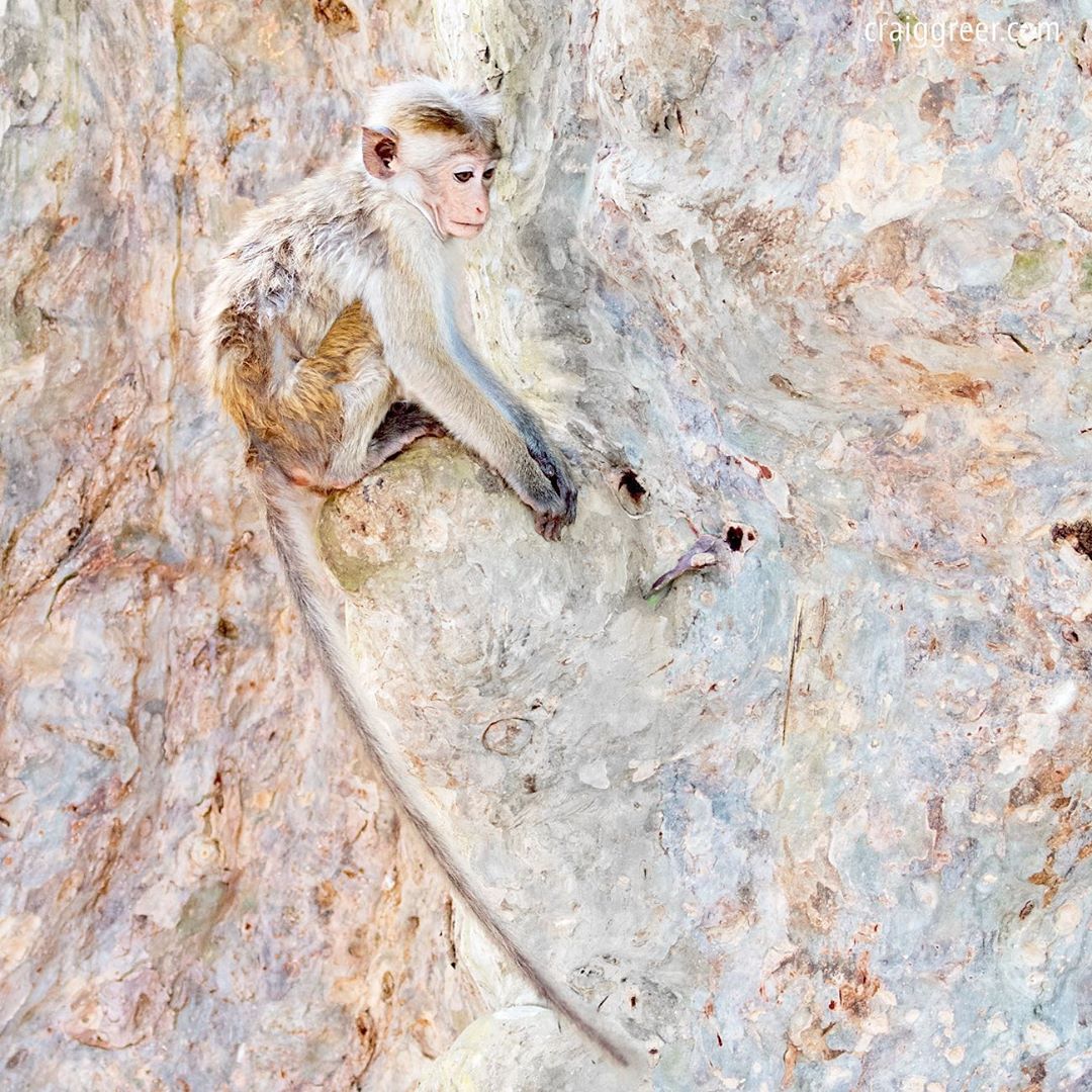 Whatsapp Image 2020 09 06 At 14.41.55