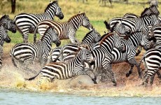 4 Days Tanzania Culture and Sightseeing