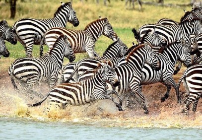 4 Days Tanzania Culture and Sightseeing
