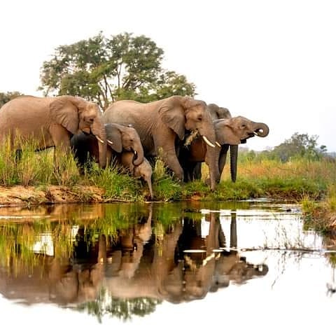 Tanzaniawildlifeadventures 20220306 0052