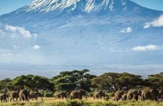 8-Day Kilimanjaro Climbing Lemosho
