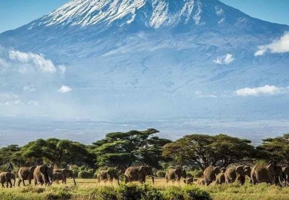 8-Day Kilimanjaro Climbing Lemosho