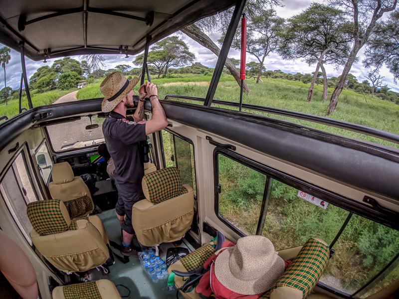 Game Drive