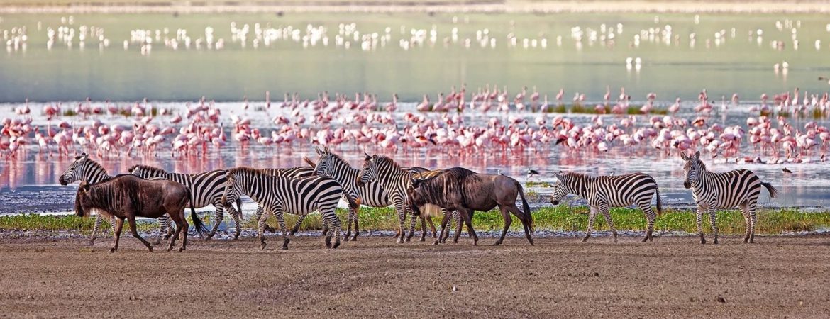 Lake Manyara 1170x450