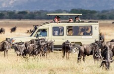 3 Days Mikumi Adventure