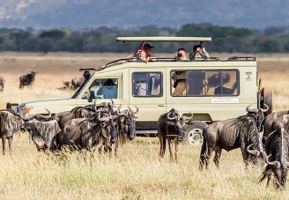 3 Days Mikumi Adventure