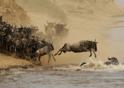 6 Days Serengeti Great Wildebeest Migration Safari