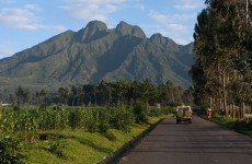 3 Days Unforgettable Gorilla Safari and Twins Lakes