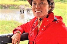 5 Days Lake Nakuru, Lake Naivasha & Masai Mara