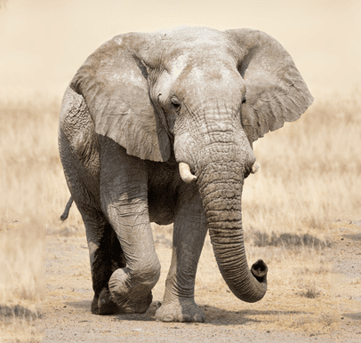 Mudumu National Park