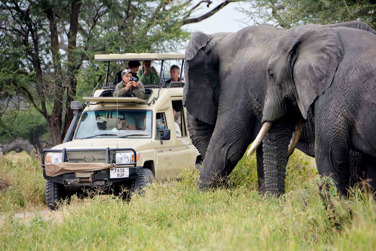 Tanzania Northserengeti