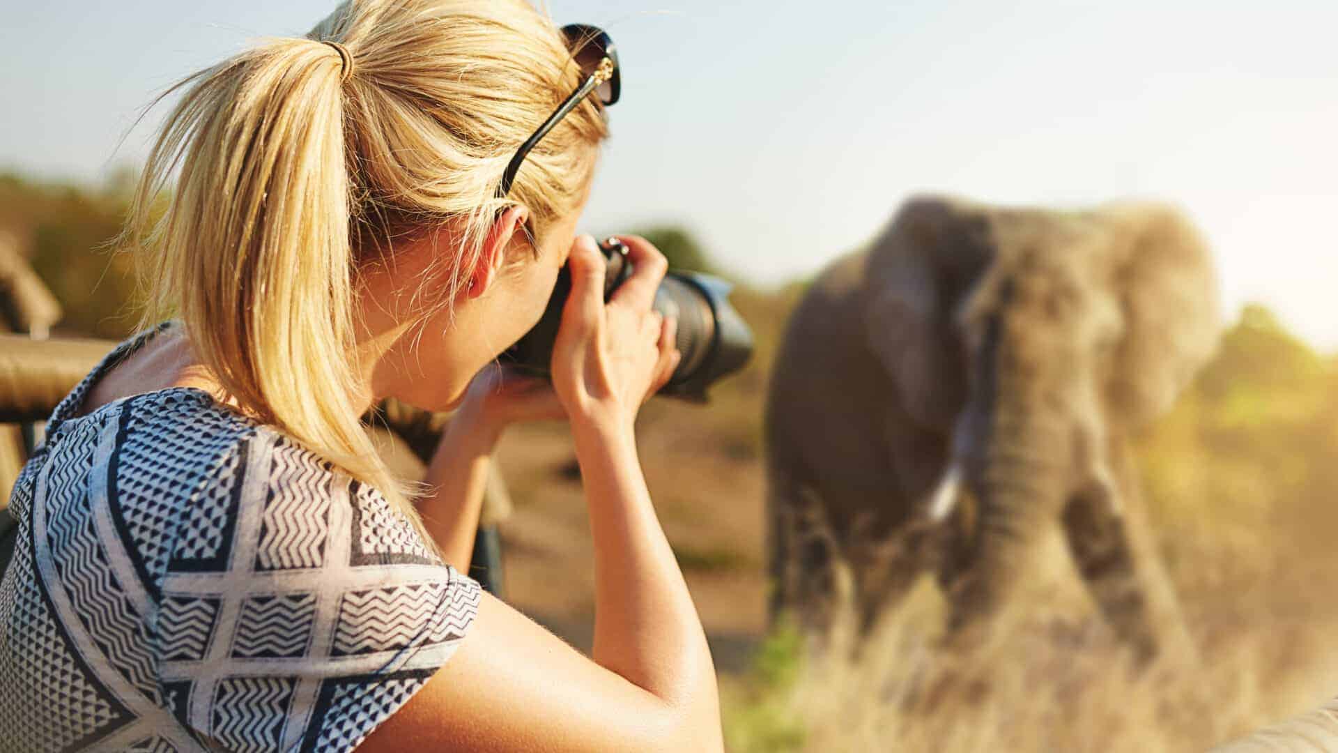 Capturing Wildlife