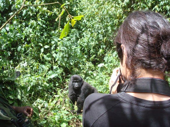 Bwindi Gorilla Trekking 1