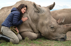 7-Day Kenya Wildlife Safari