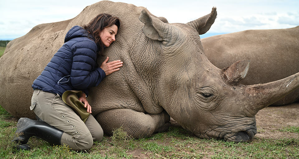 Ol Pejeta Conservancy