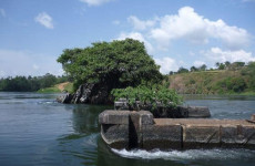 1-Day Jinja and Nile Experience