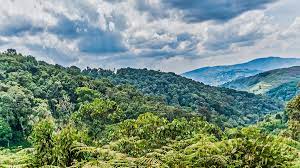 Bwindi 0