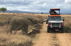 3-Day Wonderful Mikumi National Park