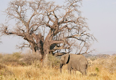 3-Day Taste of Tanzania Budget Tour