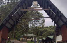 Best 7 Days Machame Route Kilimanjaro Climbing