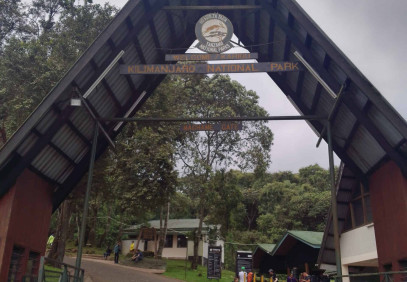 Best 7 Days Machame Route Kilimanjaro Climbing