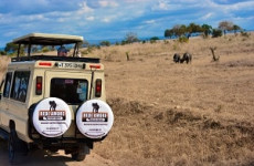 6 Days Tanzania Safari to Serengeti, Tarangire, Ngorongoro and Lake Manyara