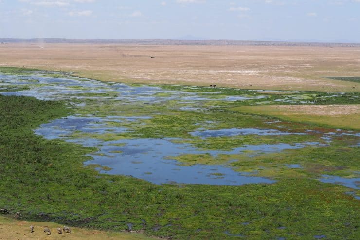 Amboseli National Park