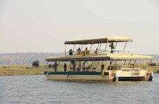 Chobe Day Trip From Victoria Falls