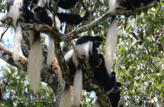 2-Day Tarangire & Ngorongoro Safari