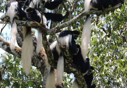 2-Day Tarangire & Ngorongoro Safari