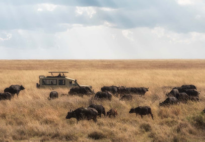 7 Days Tanzania Budget Safari