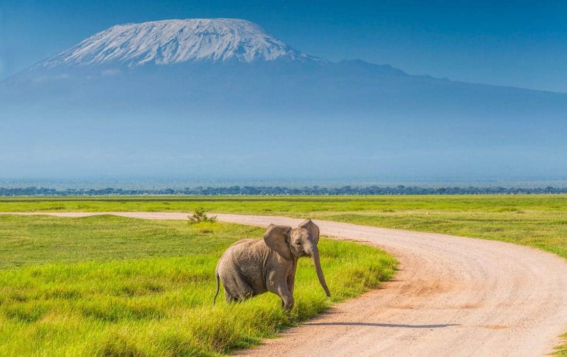 Amboseli National Park 1110x700