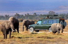 4 Days Amboseli, East and West Tsavo Safari