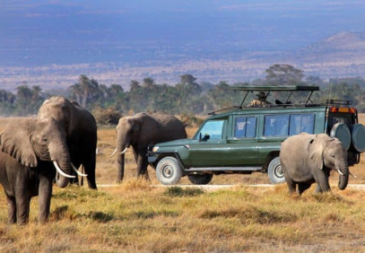 4 Days Amboseli, East and West Tsavo Safari